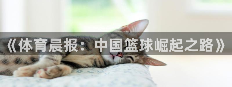 《体育晨报：中国篮球崛起之路》